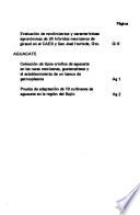 Informe