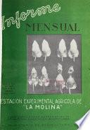 Informe mensual