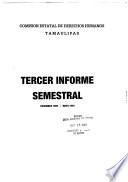 Informe semestral