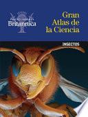 Insectos