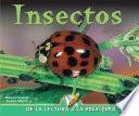 Insectos
