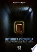 INTERNET PROFUNDA