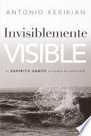 Invisiblemente Visible