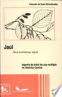 Jaúl, Alnus acuminata ssp. arguta, especie de árbol de uso múltiple en América Central