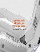 José María Montoya Valenzuela. Retrospectiva