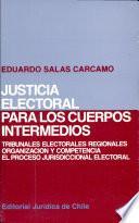 Justicia electoral para los cuerpos intermedios