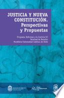 Justicia y nueva constitución