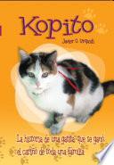 Kopito