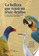 La belleza que trazó un triste destino