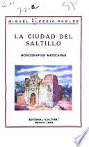 La ciudad del Saltillo