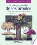 La Energía curativa de los árboles