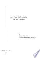 La flor calendárica de los mayas