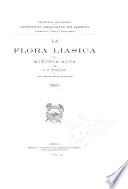 La flora liásica de la Mixteca Alta