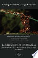 La inteligencia de las hormigas