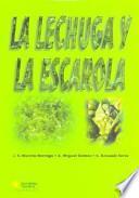 La lechuga y la escarola