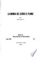 La momia del Cerro el Plomo