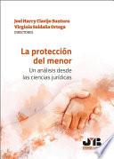 La protección del menor