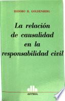 La relación de causalidad en la responsabilidad civil