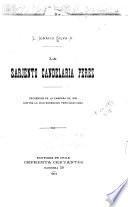 La sarjento Candelaria Perez