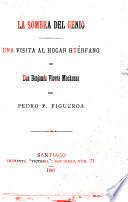 La sombra del genio ; una visita al hogar huerfano de Don Benjamin Vicuna Mackenna