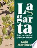 Lagarta