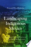 Landscaping Indigenous Mexico
