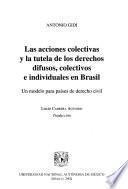 Las acciones colectivas y la tutela de los derechos difusos, colectivos e individuales en Brasil