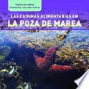 Las cadenas alimentarias en la poza de marea / Tide Pool Food Chains