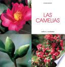 Las camelias - Cultivo y cuidados