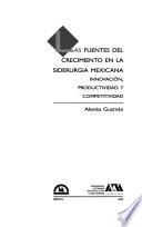 Las fuentes del crecimiento en la siderurgía mexicana
