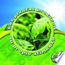 Las Plantas Producen Su Propio Alimento: Plants Make Their Own Food