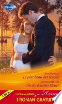 Le plus beau des secrets - Un été à Belles Fleurs - Un patron de charme