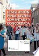 Legislación penal juvenil comentada y concordada