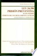 Ley 24.390 prisión preventiva