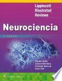 LIR. Neurociencia