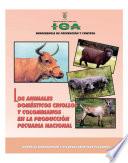 Los animales domésticos criollos y colombianos en la producción pecuaria nacional