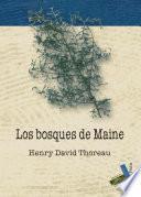 Los bosques de Maine