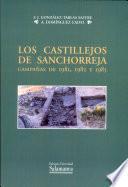 Los castillejos de Sanchorreja. Campañas de 1981,1982 y 1985