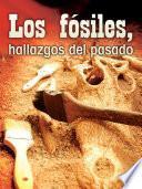 Los fósiles, hallazgos del pasado