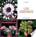 Los geranios - Cultivo y cuidados