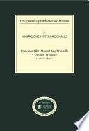 Los grandes problemas de México. Tomo 3. Migraciones internacionales