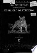 Los mamíferos de Quintana Roo en peligro de extinción