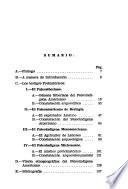 Los prehistóricos michoacanos