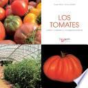 Los tomates - cultivo, cuidados y condejos prácticos