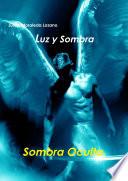 Luz y Sombra 2. Sombra Oculta