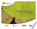 Manejo fitosanitario del cultivo de la guayaba (Psidium guajava, L) medidas para la temporada invernal