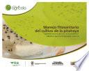 Manejo fitosanitario del cultivo de la pitahaya (Hylocereus magalanthus (K. Schum.ex Vaupel)Ralf Bauer) medidas para la temporada invernal