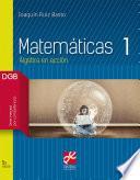 Matemáticas 1