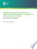 Medidas de protección social para la adopción de dietas sanas y accesibles en América Latina y el Caribe: Una revisión de la literatura