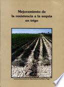 Mejoramiento de la Resistencia a la Sequia en Trigo; Marcos Juarez, Argentina; 28-30 Aug 1989. Memoria del Taller